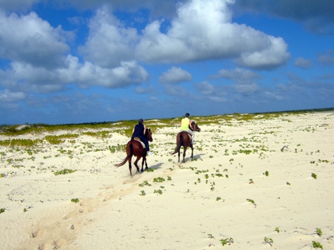 Melanie Heinrich - Travel Images - Barbuda